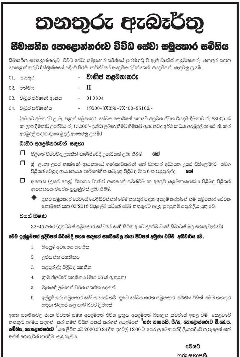 Essays about polonnaruwa image