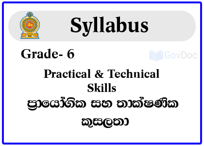 Grade 6 Practical & Technical Skills Syllabus