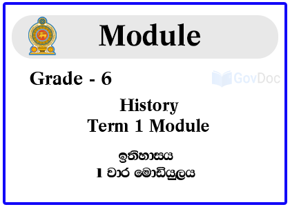 Grade 6 History Term 1 Module Syllabus