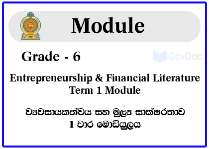 Grade 6 Entrepreneurship & Financial Literature Term 1 Module Syllabus