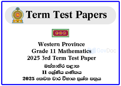 Western Province Grade 11 Mathematics 2025 3rd Term Test Paper