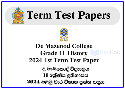 De Mazenod College Grade 11 History 2024 1st Term Test Paper