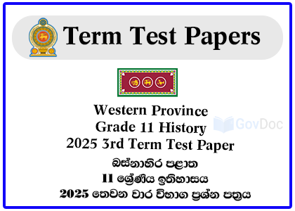 Western Province Grade 11 History 2025 3rd Term Test Paper