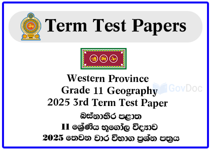 Western Province Grade 11 Geography 2025 3rd Term Test Paper