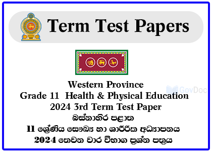 Western Province Grade 11 Health & Physical Education 2024 3rd Term Test Paper