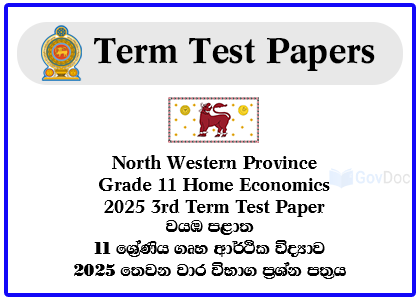 North Western Province Grade 11 Home Economics 2025 3rd Term Test Paper