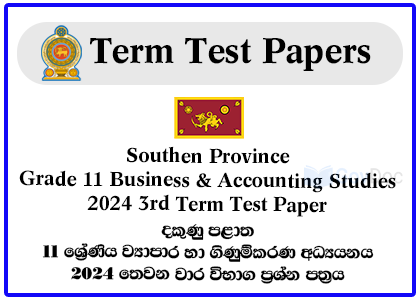 Southern Province Grade 11 Business & Accounting Studies 2024 3rd Term Test Paper