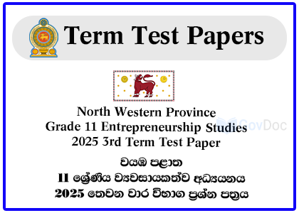 North Western Province Grade 11 Entrepreneurship Studies 2025 3rd Term Test Paper