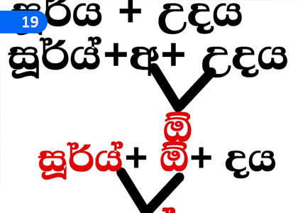 The Joints,සන්ධි,Grade 10 Sinhala Lessons ,Grade 10 Sinhala Paadam