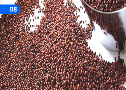 Healthy Food,,Grade 10 English Lessons ,Grade 10 English Paadam