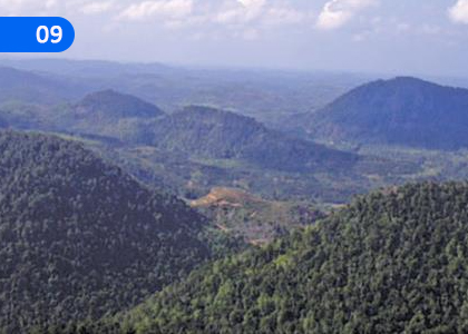 Nature,,Grade 10 English Lessons ,Grade 10 English Paadam