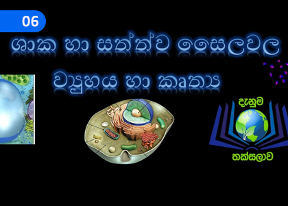 Structure and functions of the plant and animal cell,ශාක හා සත්ත්ව සෛලවල ව්‍යුහය හා කෘත්‍ය,Grade 10 Science Lessons ,Grade 10 Science Paadam