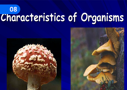 Characteristics of Organisms,ජීවින්ගේ ලාක්ෂණික,Grade 10 Science Lessons ,Grade 10 Science Paadam