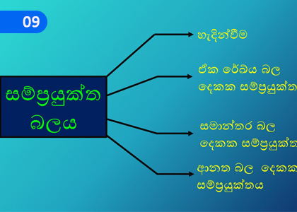 Resultant Force,සම්ප්‍රයුක්ත බලය,Grade 10 Science Lessons ,Grade 10 Science Paadam