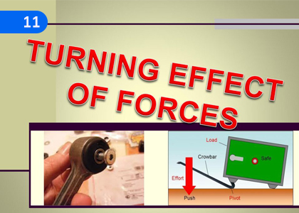 Turning Effect of a Force,බලයක භ්‍රමණ ආචරණය,Grade 10 Science Lessons ,Grade 10 Science Paadam