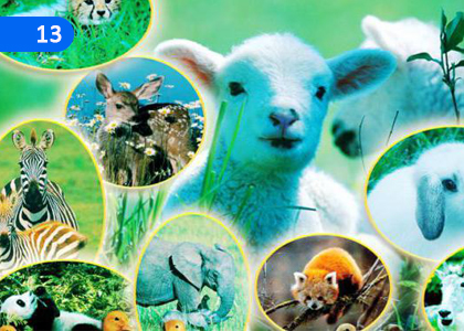 The World of Life,ජෛව ලෝකය,Grade 10 Science Lessons ,Grade 10 Science Paadam