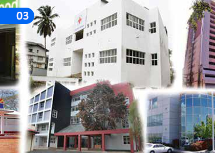 Business Organizations,ව්‍යාපාර සංවිධාන,Grade 10 Business & Accounting Studies Lessons ,Grade 10 Business & Accounting Studies Paadam