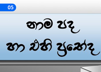 Nouns and their Variants,නාම පද හා එහි ප්‍රභේද,Grade 6 Sinhala Lessons ,Grade 6 Sinhala Paadam