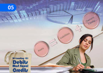 Accounting Equation,ගිණුම්කරණ සමීකරණය,Grade 10 Business & Accounting Studies Lessons ,Grade 10 Business & Accounting Studies Paadam
