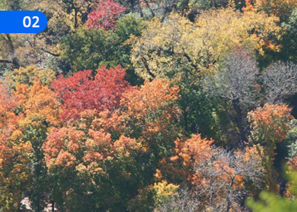 The Major Physical Characteristics of the Earth,පෘථිවියේ ප්‍රධාන භෞතික ලක්ෂණ,Grade 10 Geography Lessons ,Grade 10 Geography Paadam