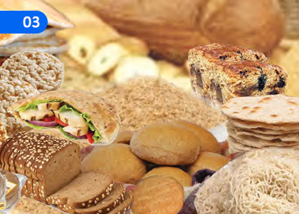 Major Types of Agricultural Land Utilization in the World,ලෝකයේ ප්‍රධාන කෘෂිකාර්මික භූමි පරිභෝග වර්ග,Grade 10 Geography Lessons ,Grade 10 Geography Paadam