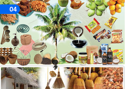 Agriculturing of Sri Lanka,ශ්‍රී ලංකාවේ කෘෂිකර්මාන්තය,Grade 10 Geography Lessons ,Grade 10 Geography Paadam