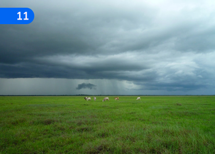 The Rain Cloud,වැහි වලාකුළ,Grade 10 Appreciation of Sinhala Literary Texts Lessons ,Grade 10 Appreciation of Sinhala Literary Texts Paadam