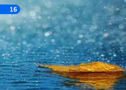 The Rain,වැස්ස,Grade 10 Appreciation of Sinhala Literary Texts Lessons ,Grade 10 Appreciation of Sinhala Literary Texts Paadam