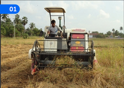 Contribution of Agriculture to the Development of Sri Lanka,ශ්‍රී ලංකාවේ සංවර්ධනයට කෘෂිකර්මාන්තයේ දායකත්වය,Grade 10 Agriculture & Food Technology Lessons ,Grade 10 Agriculture & Food Technology Paadam
