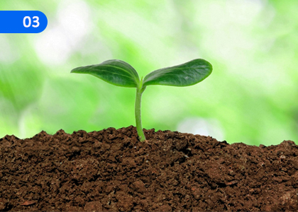 The Soil,පස,Grade 10 Agriculture & Food Technology Lessons ,Grade 10 Agriculture & Food Technology Paadam