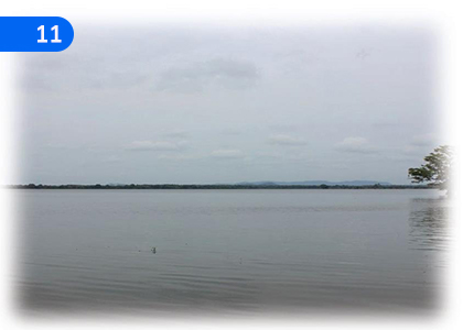 Give Credit to Kala Lake and Away,කලා වැවට පින් දීලා පලයල්ලා,Grade 6 Sinhala Lessons ,Grade 6 Sinhala Paadam