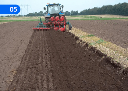 Ground Preparation,බිම් සැකසීම,Grade 10 Agriculture & Food Technology Lessons ,Grade 10 Agriculture & Food Technology Paadam