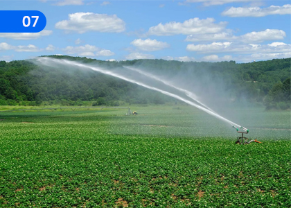 Water Management in Crop Cultivation,බෝග වගාවේ ජල කළමනාකරණය,Grade 10 Agriculture & Food Technology Lessons ,Grade 10 Agriculture & Food Technology Paadam