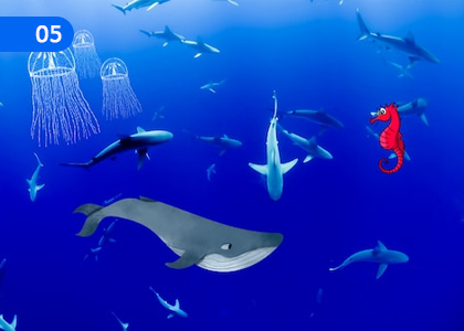 Identify Economically important non-fish fauna and Aquatic Life,ආර්ථික වශයෙන් වැදගත් වන මත්ස්‍ය නොවන සත්ත්ව ජලජ ජීවීන් හඳුනා ගනිමු,Grade 10 Aquatic Bioresources Technology Lessons ,Grade 10 Aquatic Bioresources Technology Paadam