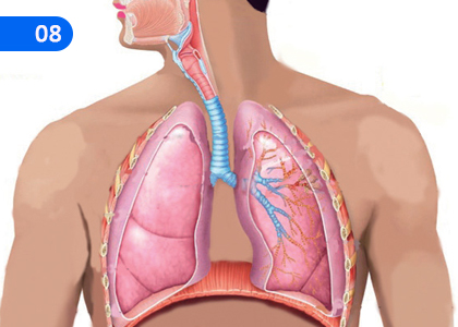 Let's Keep the Body Healthy,සිරුරේ නීරෝගී බව රැක ගනිමු,Grade 10 Health & Physical Education Lessons ,Grade 10 Health & Physical Education Paadam