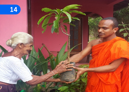 Let's be Environmentally Friendly,පරිසරහිතකාමී වෙමු,Grade 11 Buddhism Lessons ,Grade 11 Buddhism Paadam