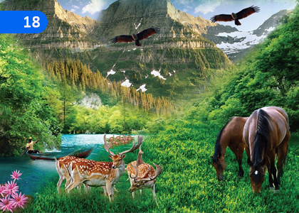 Protecting the Environment,පරිසර සුරකීම,Grade 11 Catholicism Lessons ,Grade 11 Catholicism Paadam