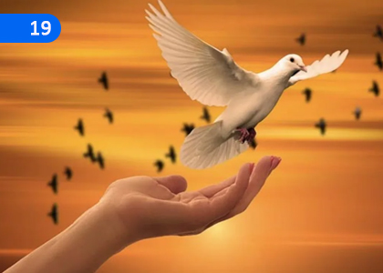 Peace,සාමය,Grade 11 Catholicism Lessons ,Grade 11 Catholicism Paadam