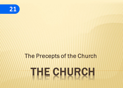 Precepts of the Church,ශුද්ධ වු සභාවේ ශික්ෂාපද,Grade 11 Catholicism Lessons ,Grade 11 Catholicism Paadam