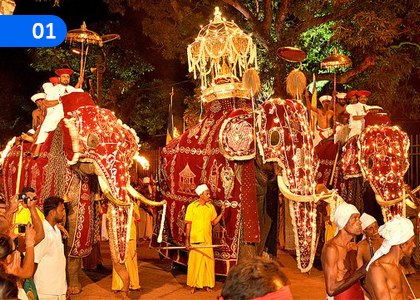 Dalanda Procession,දළදා පෙරහැර,Grade 11 Sinhala Lessons ,Grade 11 Sinhala Paadam