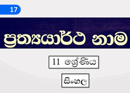 Prathyartha Nouns,ප්‍රත්‍යයාර්ථ නාම,Grade 11 Sinhala Lessons ,Grade 11 Sinhala Paadam