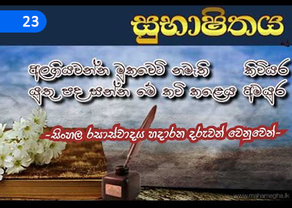 Euphemism,සුභාෂිතය,Grade 11 Sinhala Lessons ,Grade 11 Sinhala Paadam