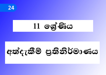 Experience Reconstruction,අත්දැකීම් ප්‍රතිනිර්මාණය,Grade 11 Sinhala Lessons ,Grade 11 Sinhala Paadam