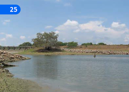 Jurassic Period of Sri Lanka,ශ්‍රී ලංකාවේ ජුරාසික යුගය,Grade 11 Sinhala Lessons ,Grade 11 Sinhala Paadam