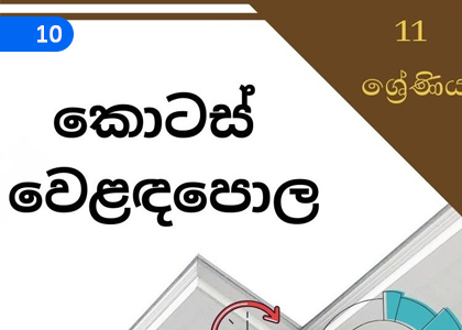 Share Market,කොටස් වෙළෙඳපොළ,Grade 11 Mathematics Lessons ,Grade 11 Mathematics Paadam