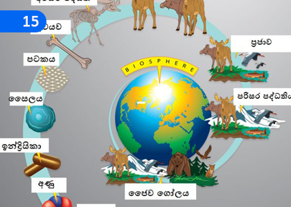 Biosphere,ජෛව ගෝලය,Grade 11 Science Lessons ,Grade 11 Science Paadam
