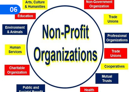 Non for Profit Organizations,ලාභ අරමුණු කර නොගත් සංවිධාන,Grade 11 Business & Accounting Studies Lessons ,Grade 11 Business & Accounting Studies Paadam