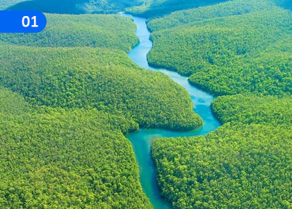 Natural Resources of the Earth,පෘථිවියේ ස්වාභාවික සම්පත්,Grade 11 Geography Lessons ,Grade 11 Geography Paadam