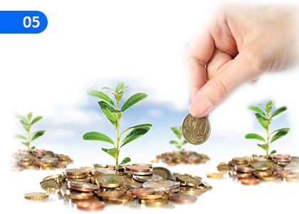 Financial Plan,මූල්‍ය සැලැස්ම,Grade 11 Entrepreneurship Studies Lessons ,Grade 11 Entrepreneurship Studies Paadam