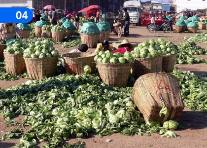 Post-harvest Damage in Agricultural Crops,කෘෂි බෝගවල පසු අස්වනු හානිය,Grade 11 Agriculture & Food Technology Lessons ,Grade 11 Agriculture & Food Technology Paadam